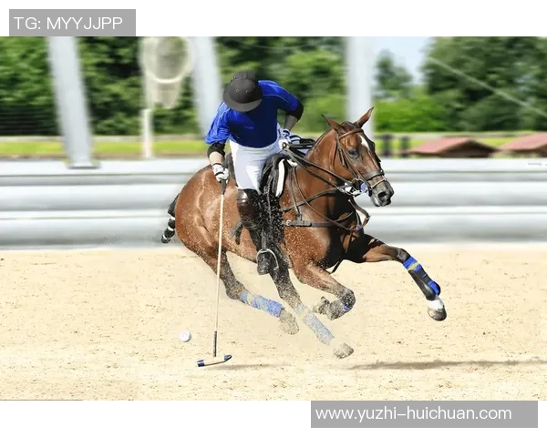 足球明星与马术的完美结合精彩瞬间大揭秘视频合集