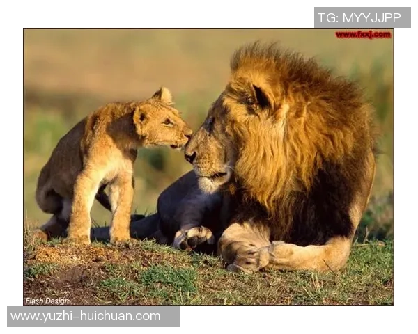 足球明星温暖瞬间与小孩的心灵对话与鼓励