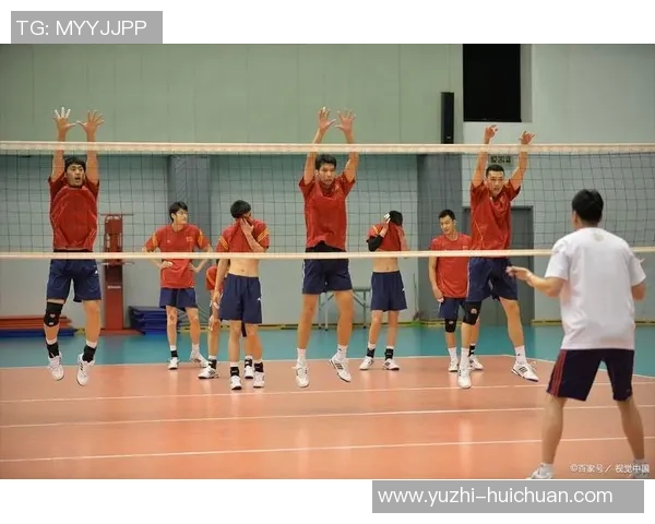 热议排球:北京排球队的团队协作变革